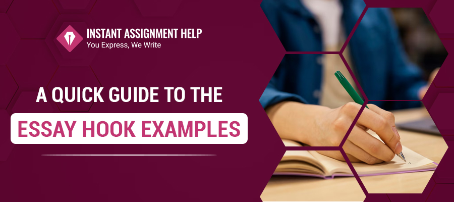 A Quick Guide to the Essay Hook Examples