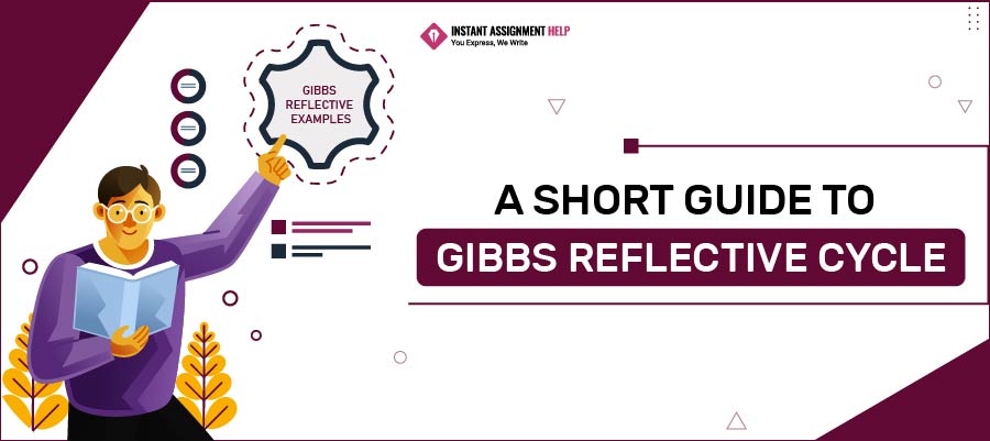  All About Gibbs Reflective Cycle with Examples