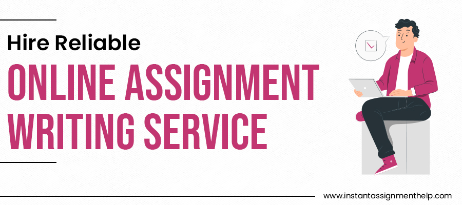 Hire online assignment writer