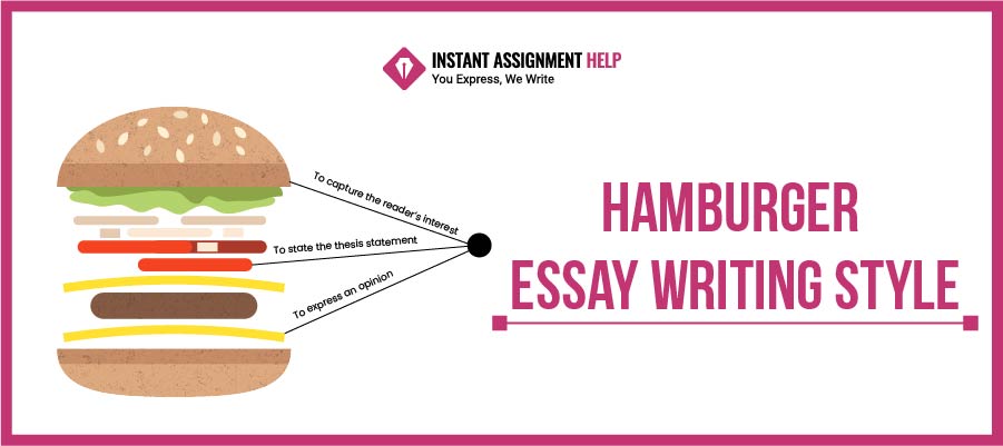 Hamburger Essay Writing Style