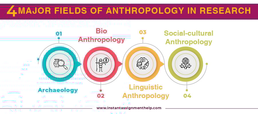 4 major fields of anthropology