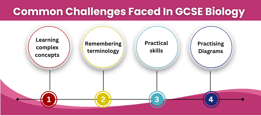 Common Challenges Faced In GCSE Biology
