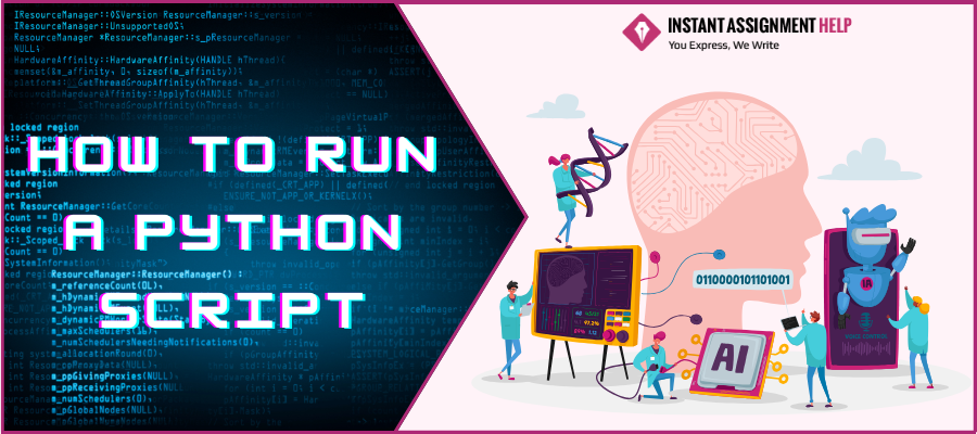 How to Run a Python Script | Instant Assignment Help