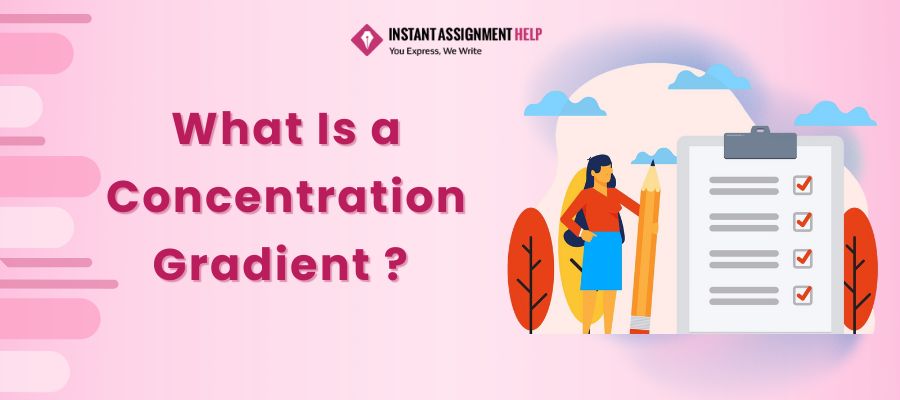 What Is a Concentration Gradient by Instant Assignment Help