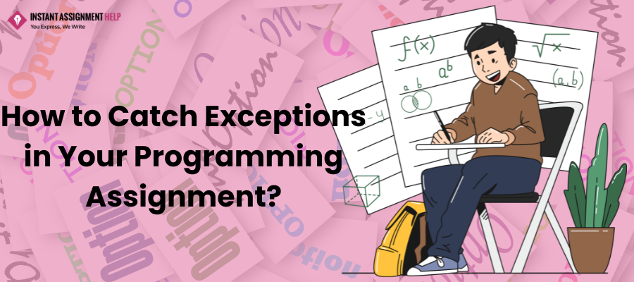 How to Handle Exceptions in Programming Assignment