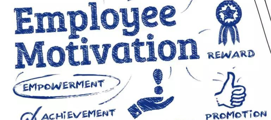 employee motivation assignment help