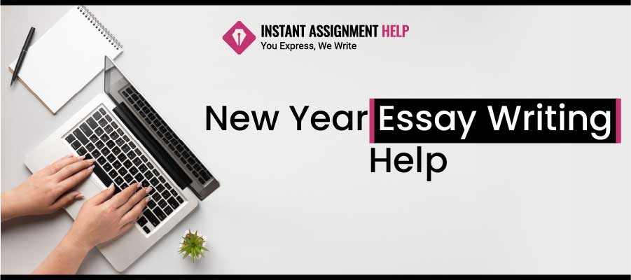 new year essay writing help