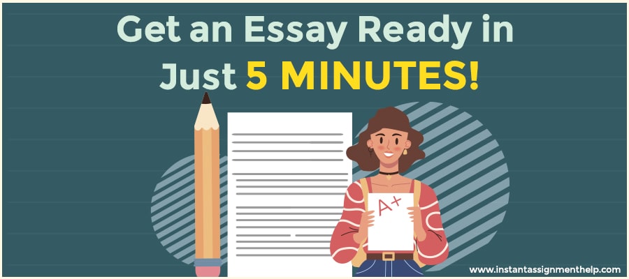 instant essay typer