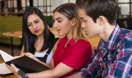Essay help