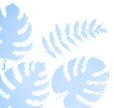 leaves image